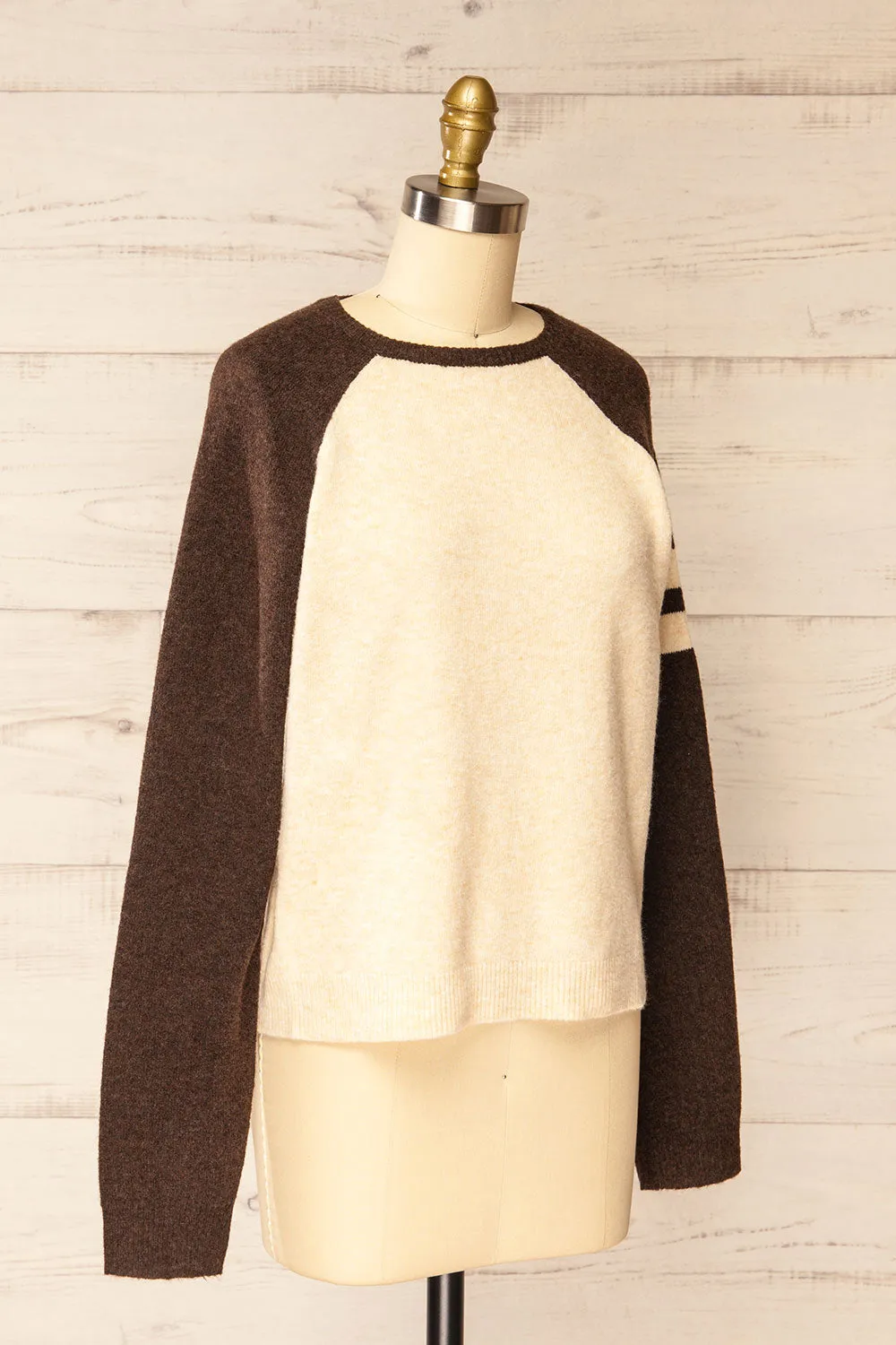 Callista | Fuzzy Brown & Beige Sweater