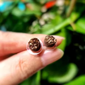 Champagne Aura Quartz Rhodium Ear Studs