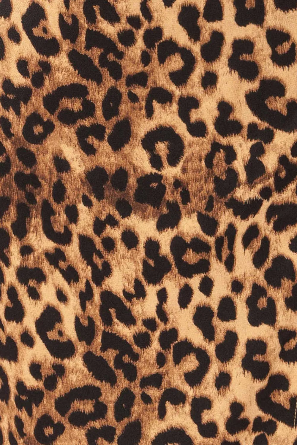 Croenen | Cowl Neck Leopard Midi Dress