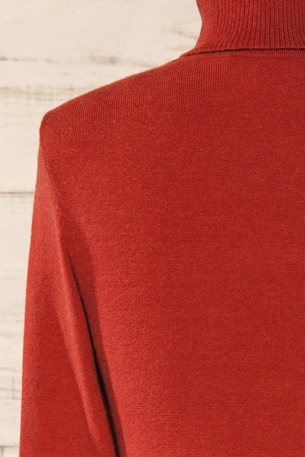 Derby Rust | Knit Turtleneck w/ Long Sleeves