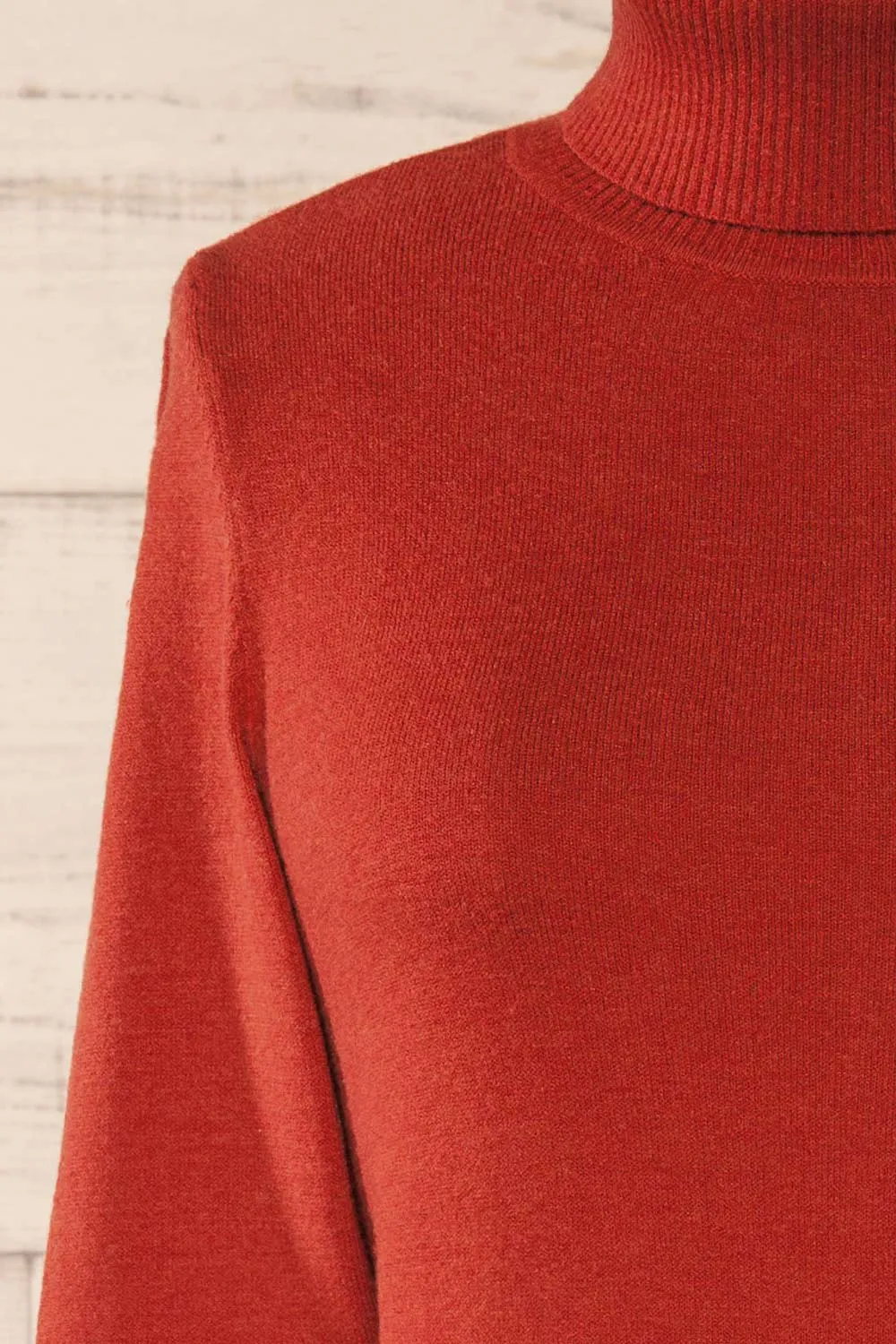 Derby Rust | Knit Turtleneck w/ Long Sleeves