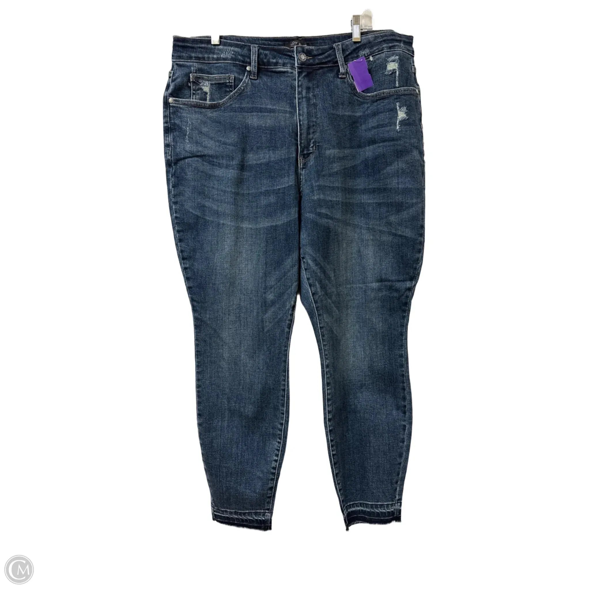 Jeans Skinny By Judy Blue In Blue Denim, Size: 22