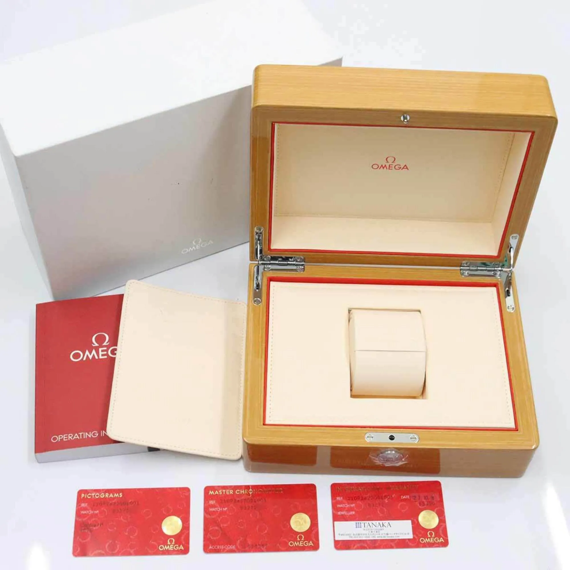 Omega Seamaster Titanium Wristwatch (Pre-Owned)