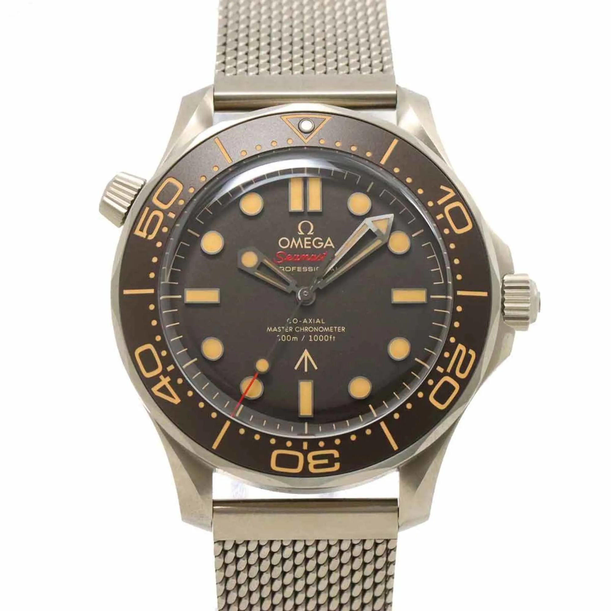 Omega Seamaster Titanium Wristwatch (Pre-Owned)