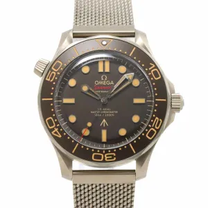 Omega Seamaster Titanium Wristwatch (Pre-Owned)