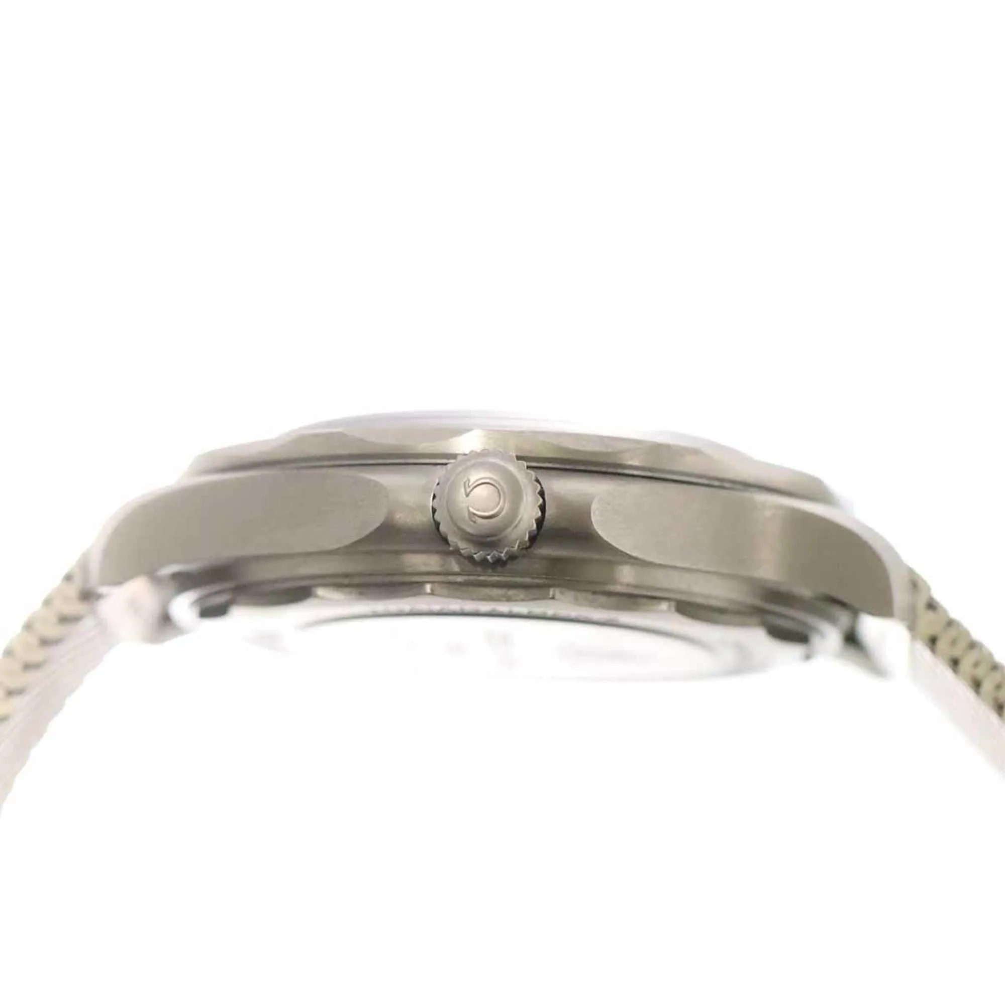 Omega Seamaster Titanium Wristwatch (Pre-Owned)