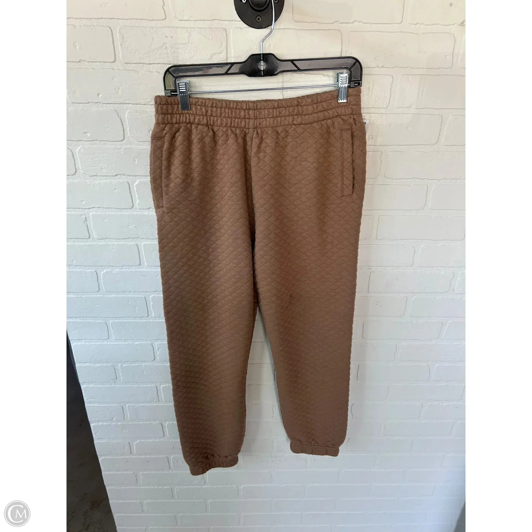 Pants Joggers By Z Supply In Brown, Size: 8