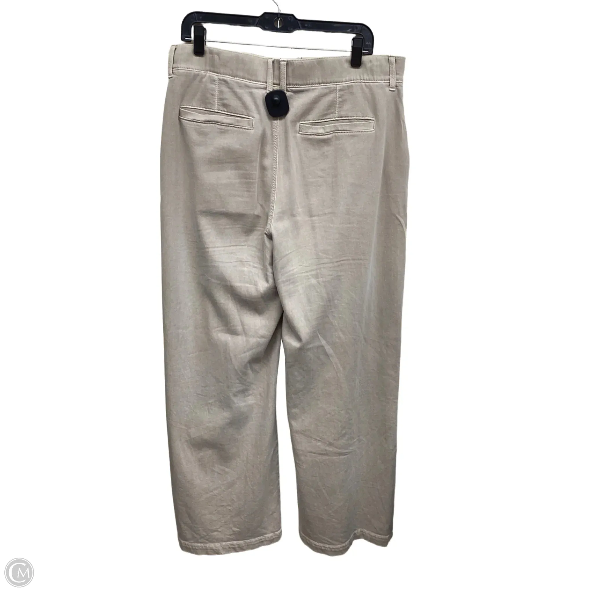 Pants Other By American Eagle In Tan, Size: 12