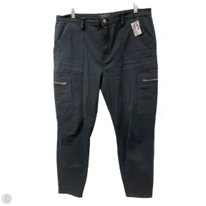 Pants Other By Banana Republic In Navy, Size: 14