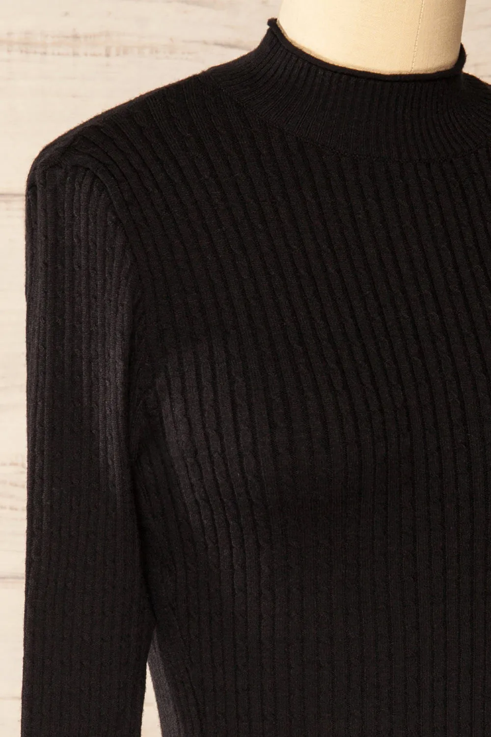 Sambir Black | Mock Neck Ribbed Fitted Top