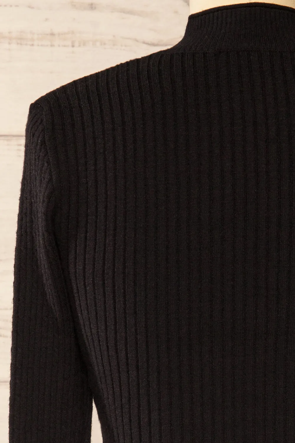 Sambir Black | Mock Neck Ribbed Fitted Top
