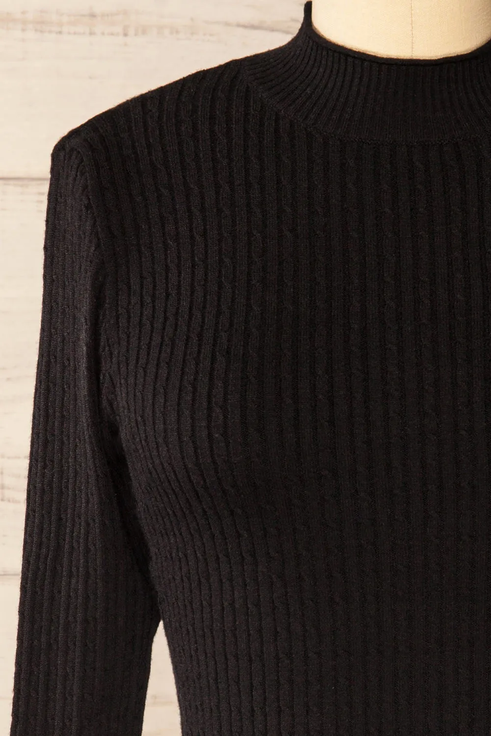 Sambir Black | Mock Neck Ribbed Fitted Top