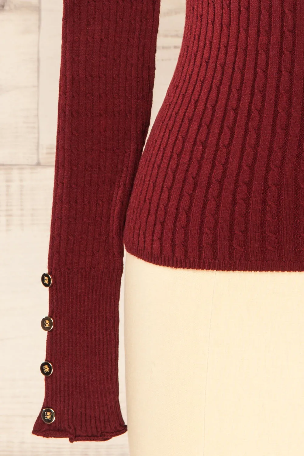 Sambir Burgundy | Mock Neck Ribbed Fitted Top