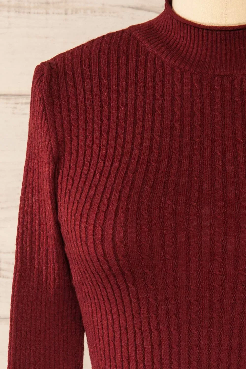 Sambir Burgundy | Mock Neck Ribbed Fitted Top
