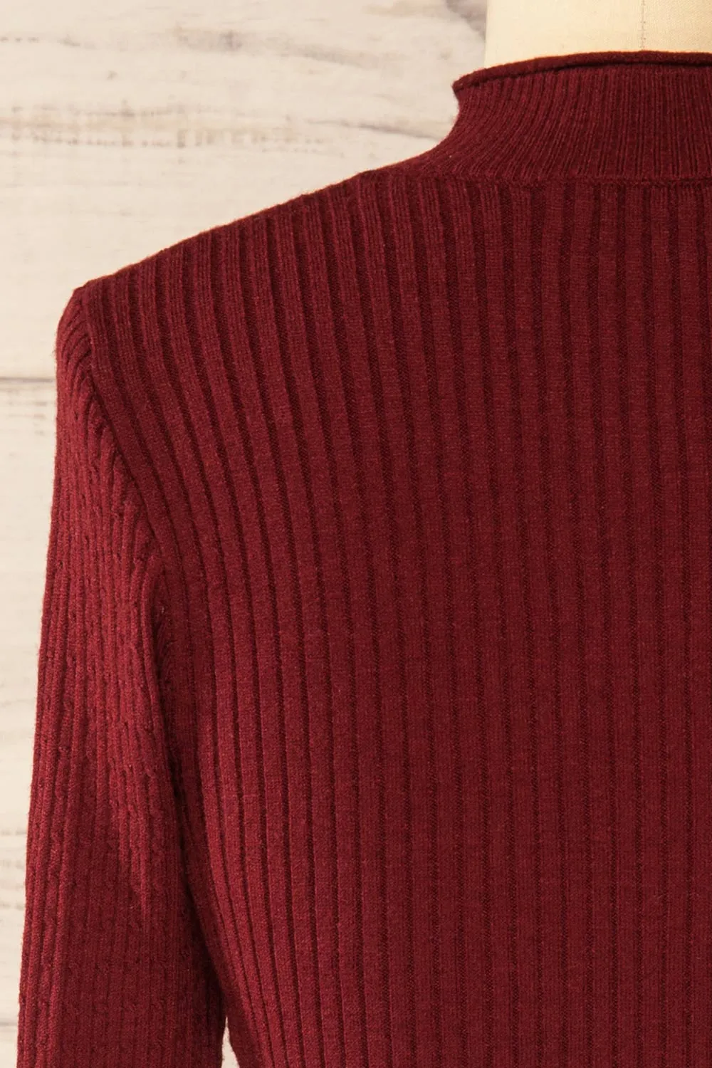 Sambir Burgundy | Mock Neck Ribbed Fitted Top