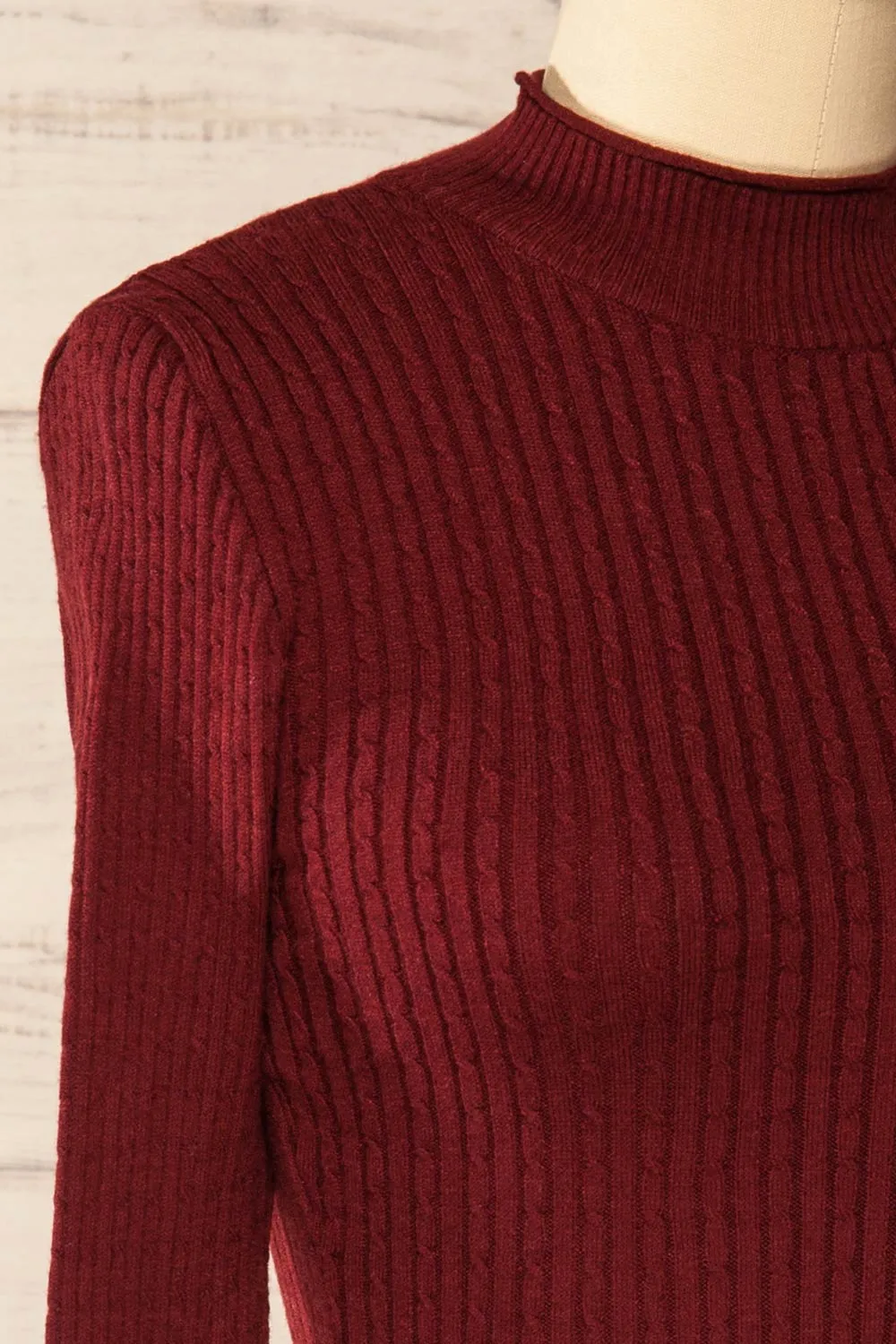 Sambir Burgundy | Mock Neck Ribbed Fitted Top