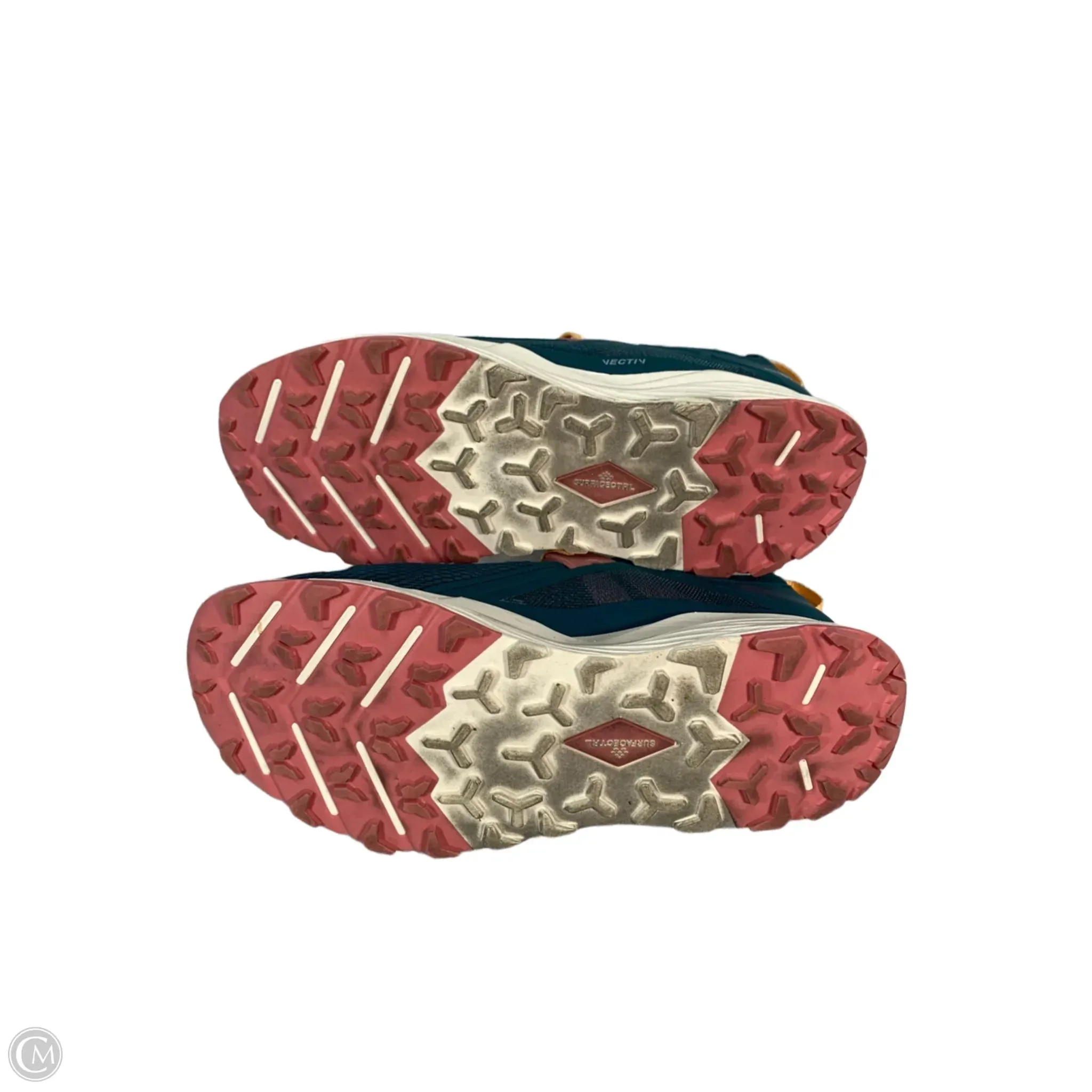 Shoes Athletic By The North Face In Blue, Size: 10