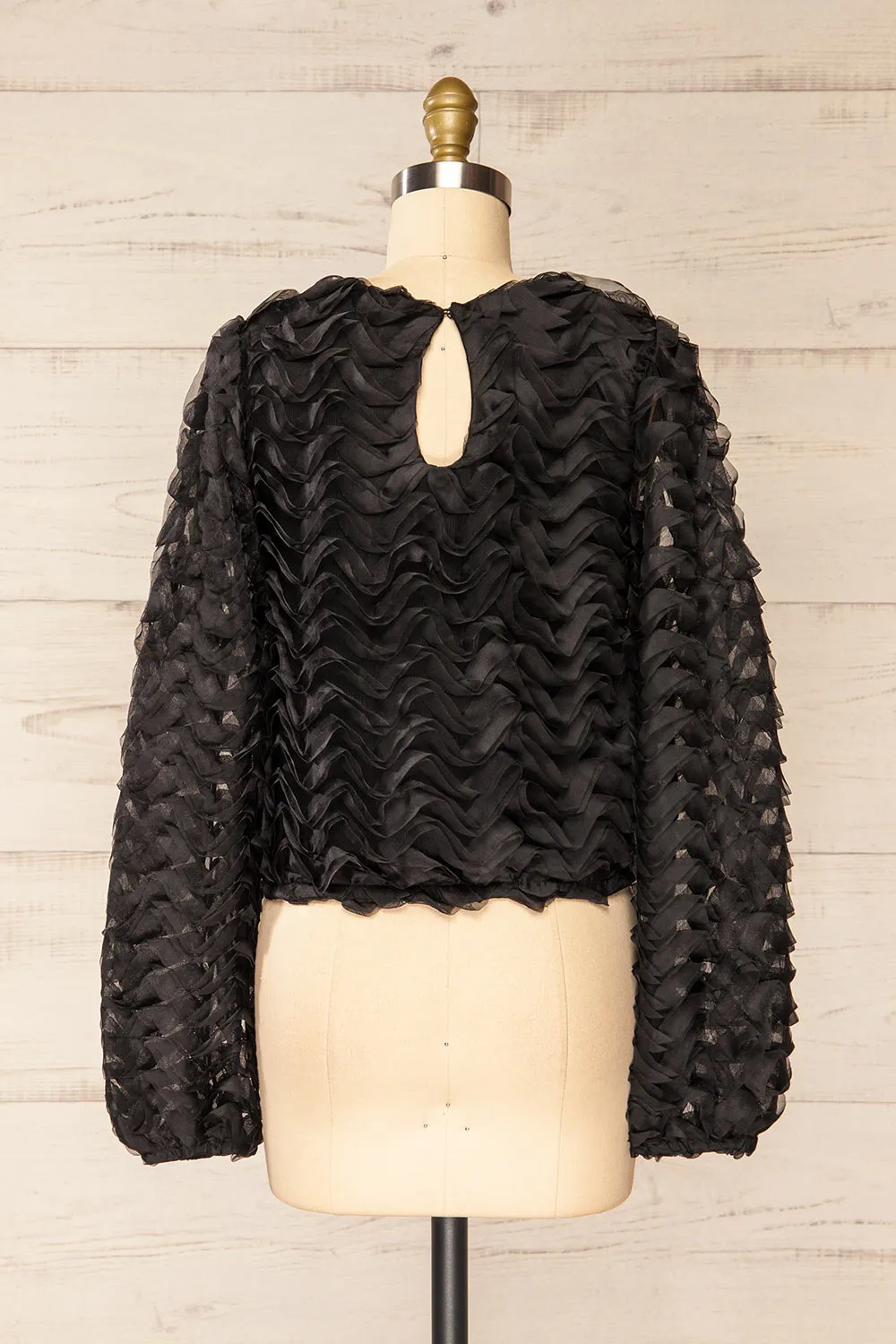 Tamworth | Black Tulle Cropped Top w/ Long Sleeves