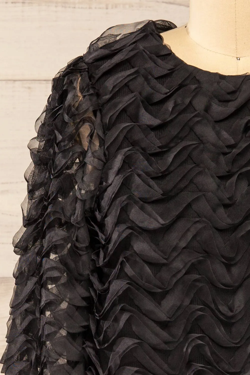 Tamworth | Black Tulle Cropped Top w/ Long Sleeves