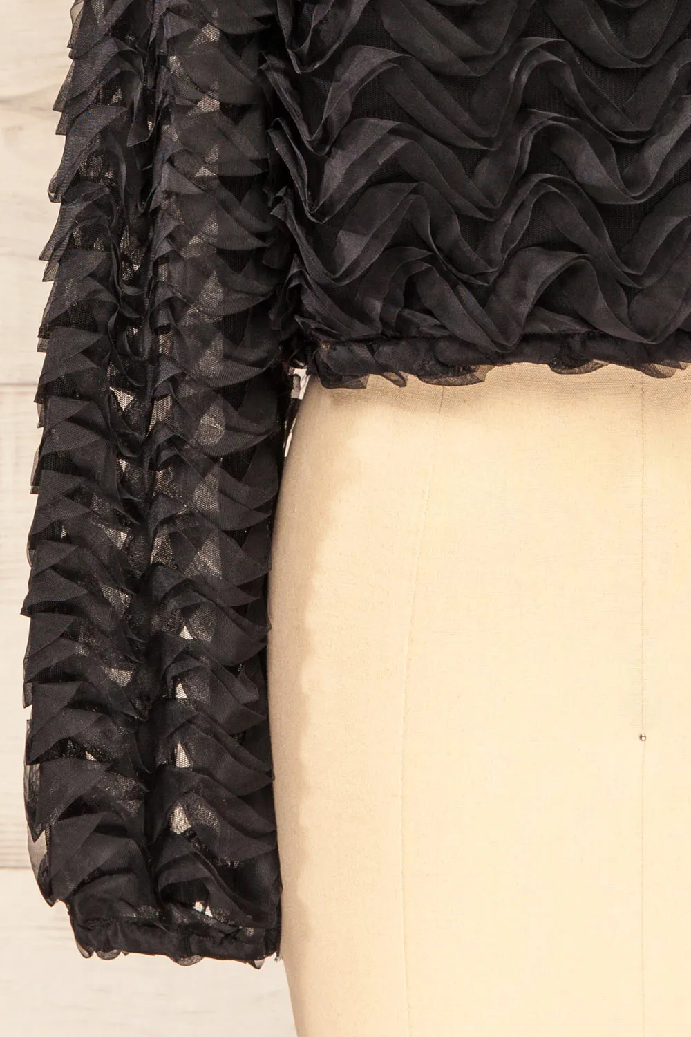 Tamworth | Black Tulle Cropped Top w/ Long Sleeves
