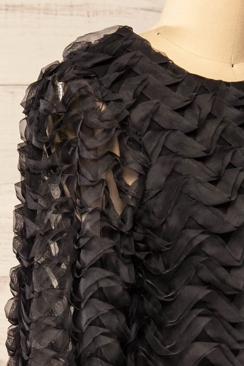 Tamworth | Black Tulle Cropped Top w/ Long Sleeves