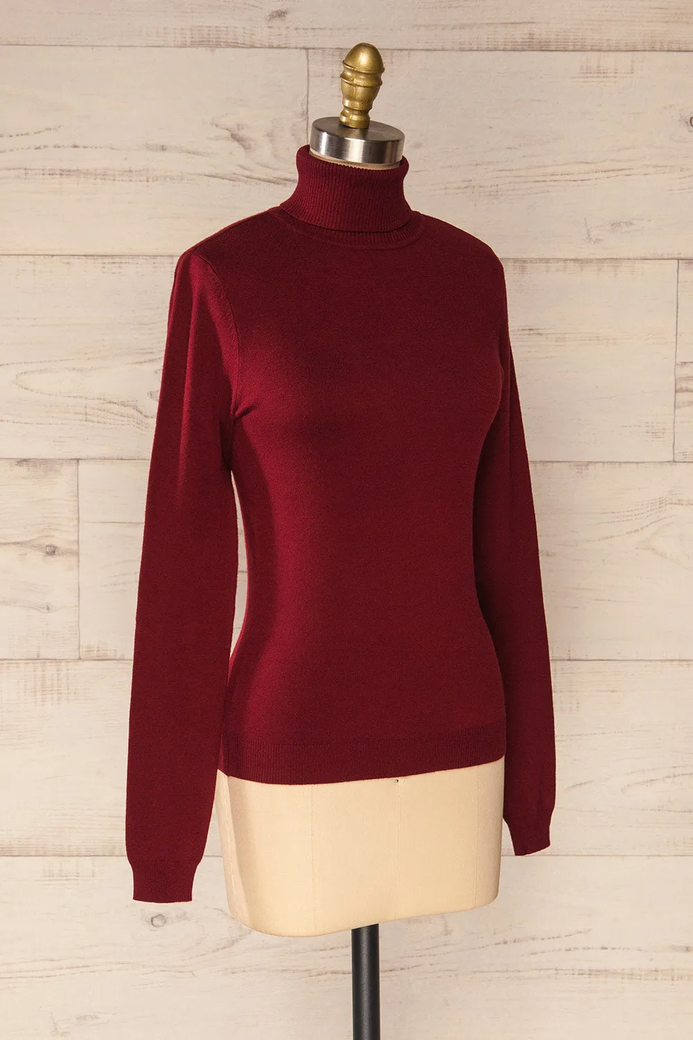 Winschoten | Long Sleeve Turtleneck Top